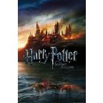 Close Up Harry Potter und die Heiligtümer des Todes - Teil 1 | Import Filmplakat Poster [61 x 91,5 cm]
