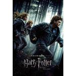 Close Up Harry Potter Poster 