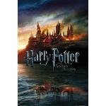 Bunte Harry Potter Hogwarts Poster Hochformat 