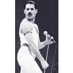 Bunte Close Up Freddie Mercury Poster 