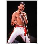 Close Up Freddie Mercury Poster 