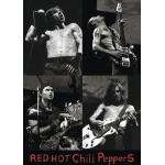 Close Up Red Hot Chili Peppers Poster Live - Collage (b/w) (61cm x 86cm) + Ãœ-Poster