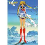 Close Up Sailor Moon Poster 
