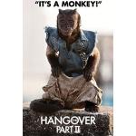 Close Up The Hangover 2 Poster Monkey (57cm x 87cm) + Ãœ-Poster