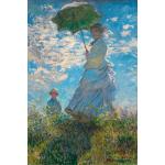 Bunte Impressionistische Close Up Claude Monet Poster 