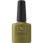 Olivgrüne CND Scentsations SHELLAC Nagellacke mit Olive 