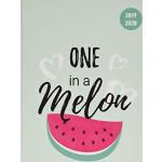 Collegetimer Melon 2019/2020 - Melone - Schülerkalender A5 (15 x 21) - Weekly - 224 Seiten - Terminplaner: One in a Melon. Terminplaner