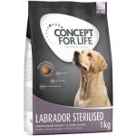 1 kg CONCEPT FOR LIFE Trockenfutter für Hunde 