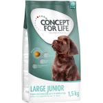5 kg CONCEPT FOR LIFE Large Trockenfutter für Hunde 