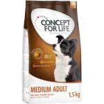 5 kg CONCEPT FOR LIFE Medium Trockenfutter für Hunde 