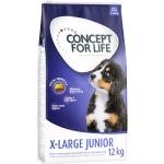 12kg X-Large Junior Concept for Life Hundefutter trocken