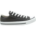 Converse, Ct A/S Seasnl Ox Grau Sneakers Gray, Damen, Größe: 39 1/2 EU