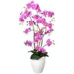 Lila Künstliche Orchideen kaufen | 2024 | Günstig online Trends