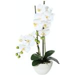 Künstliche Orchideen | Trends 2024 online kaufen Günstig 