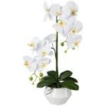 2024 online kaufen | Trends | Günstig Künstliche Orchideen