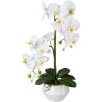 Weiße Künstliche Orchideen aus Kunststoff 