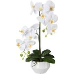 Reduzierte Weiße Künstliche Orchideen aus Kunststoff 