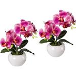Rosa Künstliche Orchideen | Trends 2024 | Günstig online kaufen | Kunstorchideen