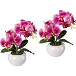 Rosa Künstliche Orchideen aus Kunststoff 2-teilig 