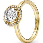 Damen Ring "Pandora Timeless 161234C01", gold, 52