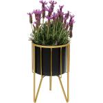 Schwarze Moderne Runde Blumenhocker & Blumentische mit Kaktus-Motiv aus Metall Breite 0-50cm, Höhe 0-50cm, Tiefe 0-50cm 