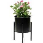 Schwarze Moderne Blumenhocker & Blumentische mit Kaktus-Motiv aus Metall Breite 0-50cm, Höhe 0-50cm, Tiefe 0-50cm 