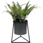 Dunkelgraue Moderne Blumenhocker & Blumentische mit Kaktus-Motiv aus Metall Breite 0-50cm, Höhe 0-50cm, Tiefe 0-50cm 