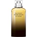 Davidoff Horizon Extreme Eau de Parfum (125ml)