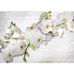 decomonkey Orchideen-Fototapeten aus Textil 