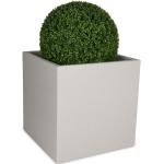 Graue Terrazzo Decoras Cubo Quadratische Pflanzkübel & Blumentöpfe matt aus Kunststoff Outdoor 