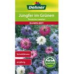 Dehner Blumensamen & Pflanzensamen 5-teilig 
