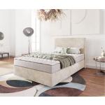 Beige Moderne DELIFE Dream-Well Betten mit Matratze 120x200 