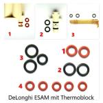 Delonghi AEG Dichtung SET Dichtungssatz O-Ring Brühkolben mit Thermoblock ESAM