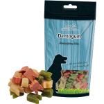 Bunte Greenhound Hunde Zahnpflege aus Kunststoff 