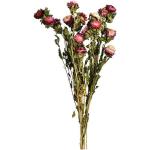 Rosa Depot Trockenblumen aus Stroh 