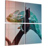Moderne XXL Glasbilder mit Tiermotiv aus Glas 100x100 