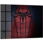 Rote Moderne Spiderman Küchenrückwände aus Glas Breite 50-100cm, Höhe 50-100cm, Tiefe 50-100cm 