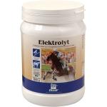 DERBY Elektrolyt - 1 kg