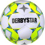 "Derbystar Fußball Apus Light V23 Jugend-Trainingsball 10er Ballpaket inkl. Ballnetz Gr. 5"