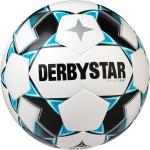 "Derbystar Fußball Brillant Light DB Top-Jugend Trainingsball 10er Ballpaket inkl. Ballnetz Gr. 4"
