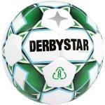 "Derbystar Fußball Planet APS Wettspiel- und Trainingsball 10er Ballpaket inkl. Ballnetz "