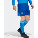 Royalblaue adidas Tiro 23 DFB - Deutscher Fußball-Bund Herrenmode Größe M 