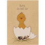 Grüne Die Stadtgärtner Nachhaltige Baby-Glückwunschkarten mit Huhn-Motiv DIN A6 