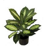 Dieffenbachia 50 cm, künstliche Dekopflanze, Kunstpflanze