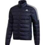 Dinamo Adidas Essentials Down Jacket M