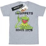 Graue Kurzärmelige Sesamstraße Kermit T-Shirts aus Baumwolle für Herren Größe 3 XL 