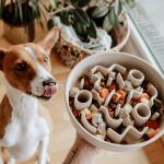 Anti Schling Napf Haustierbedarf Hunde Näpfe & Futterautomaten Näpfe infactory Näpfe 