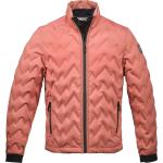 Dolomite Jacket M's 1 Canazei ginger red (1306) S