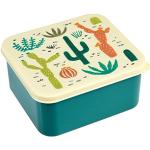 BPA-freie Lunchbox, verschiedene Designs erhältlich Desert In Bloom