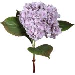 DPI Hortensie 52cm violett